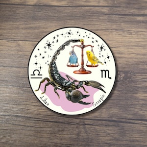 May include: Round sticker featuring a black scorpion with a pink background. The sticker includes the Libra and Scorpio zodiac symbols, along with a scale holding two birds. The background has stars and the words "Libra" and "Scorpio".