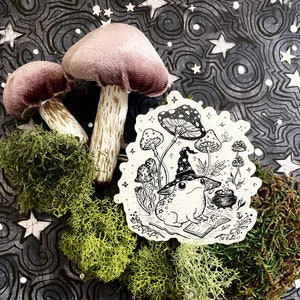 May include: A black and white illustration of a frog wearing a witch's hat and sitting under a mushroom. The frog is holding a book and a wand. The illustration is surrounded by mushrooms and stars.