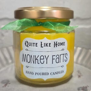 Monkey Farts Scented Jar Candle, 4 oz. Fruity, Tropical Scent