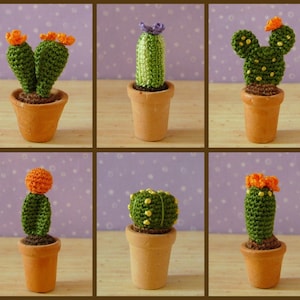 Miniature Cactus Plants AMIGURUMI Crochet PATTERN image 1