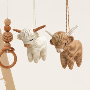 Academia Highland Cow Baby, Presente de Chá de Bebê / Academia de Atividades para Bebês / CARTAS PERSONALIZADAS