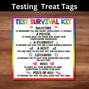 Testing Day Snack Tag Printable Classroom Treat Tag, Test Printable Notes, Benchmark Testing Snack, Student Encouragement Testing Card