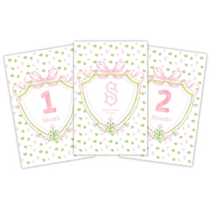 Personalized Baby Milestone Cards – Monthly First-Year Keepsake Cards for Photos & Memories – Thoughtful Baby Shower Gift for Little Girl