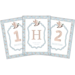 Personalized Baby Milestone Cards – Monthly First-Year Keepsake Duck and Dog Cards for Photos & Memories – Thoughtful Baby Boy Shower Gift