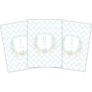 Personalized Baby Milestone Cards – Monthly First-Year Keepsake Cards for Photos & Memories – Thoughtful Baby Shower Gift for Little Boy