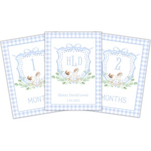Personalized Baby Milestone Cards – Blue Gingham Rocking Horse Monogram Crest | Monthly First-Year Keepsake Cards for Photos & Memories