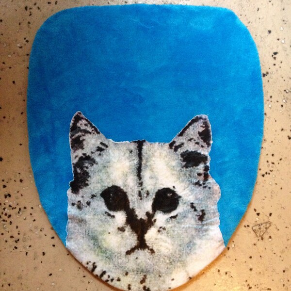 Grumpy Cat Toilet Seat Lid Cover Bathroom Vintage blue dead stock new grumpy cat christmas