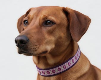 Boho dog collar in purple, magenta, white, and yellow - ethnic dog collar