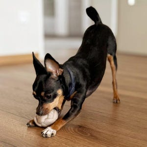 Dog toy - knotted ball