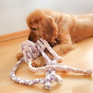 Handmade dog toy &quot;Octopus&quot;