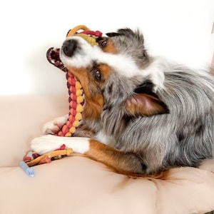 Dog toys | Tug toys | Rainbow colors | Fetch toys | Dummy toys