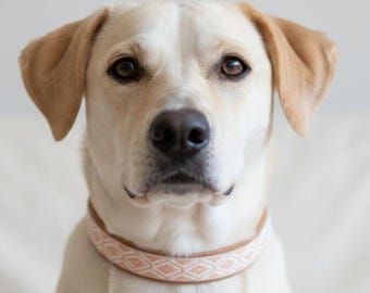 Boho Dog Collar Pink-White-Light Brown - Ethnic Dog Collar