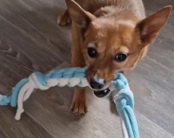 Hundespielzeug - Zergel - Apportierspielzeug - mit langer Handschlaufe