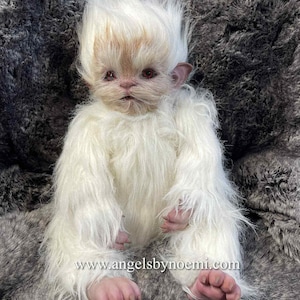 May include: A handcrafted white fur creature doll with a detailed face, red eyes, and a small nose. The doll has long, shaggy fur and is posed sitting down. The doll's website, angelsbynoemi.com, is visible in the image.