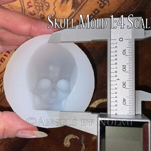 Silicon Mold Skull - Sculpture Study Help - To make Head Inner Core for Polymer Clay - Large Size 1:4