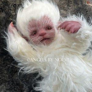 Made to Order "Albino Victor" Cuddle Body Silicone Werewolf baby - Preemie - Made by Artist