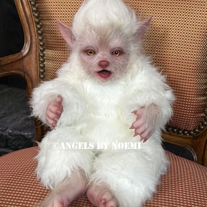 Made to Order  "Albino Fabio" Cuddle Body Silicone Werewolf baby - Preemie - Made by Artist