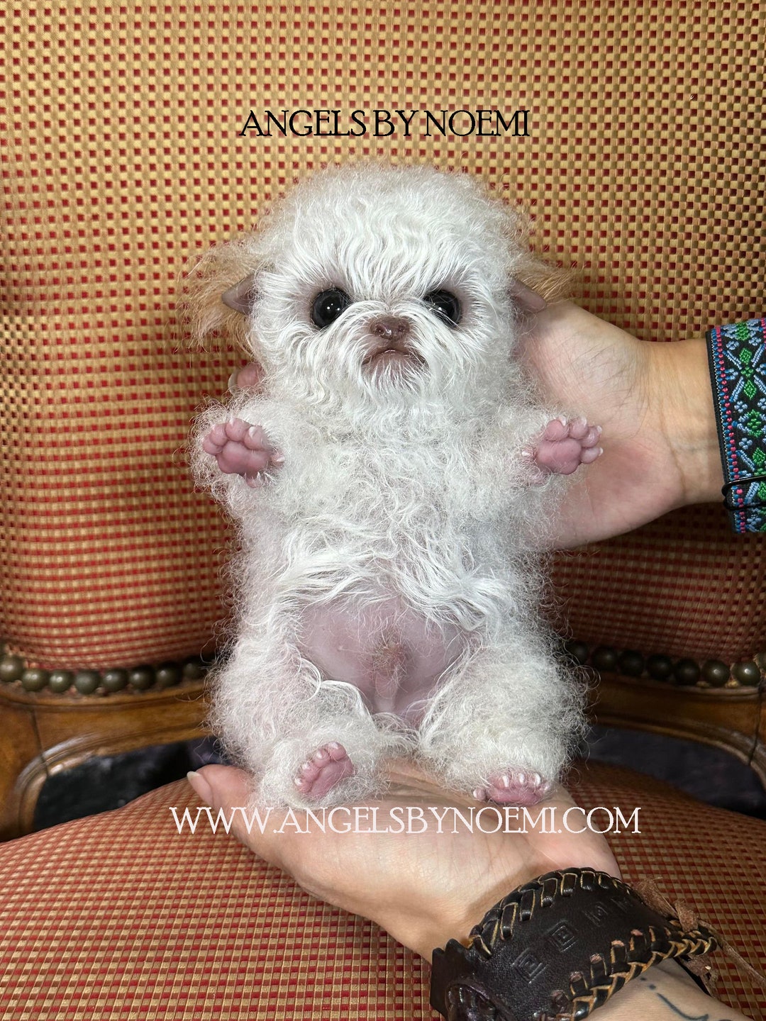 Fatto su ordinazione Bambola Maltipoo Puppy in silicone a corpo