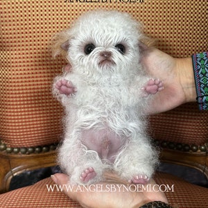 Made to Order - Maltipoo Puppy Doll Full Body Silicone Baby - Made by Artist