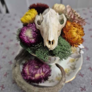 Opossum Skull and Tail Tea Cup