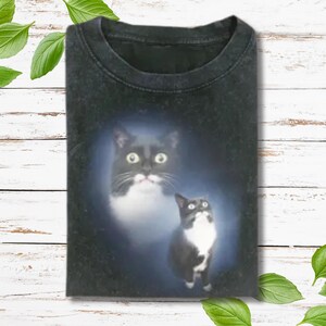 Funny Cat Meme Shirt,  Cat Shirt, Gen Z Joke Shirt, Stupid Brainrot Gift, Cat Lover Gift, Funny Kitty Tee, Cool Cat Shirt