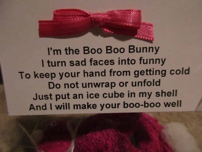 WASHCLOTH BUNNY for Little Booboos With Poem and Reusable Ice Etsy