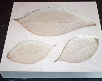 plaster mold for clay
