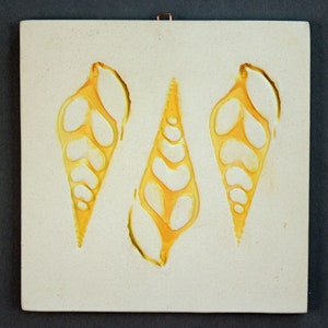 6&quot;x6&quot; hanging shell tile-DECORATIVE ONLY