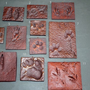 Track Tiles