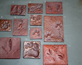 Track Tiles