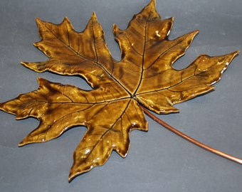 maple hanging leaf