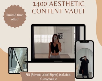 1400+ Faceless Aesthetic Content Vault with Bonus!! Faceless marketing, UGC, content creator, MRR, PLR, online course, Digital product