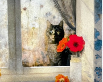 In the Sun on the Sill - Shadow & Feathers | Giclèe Art Print | Encaustic Fine Art | Cat Lover | Unique Art | Whimsical | Sunny Windowsill