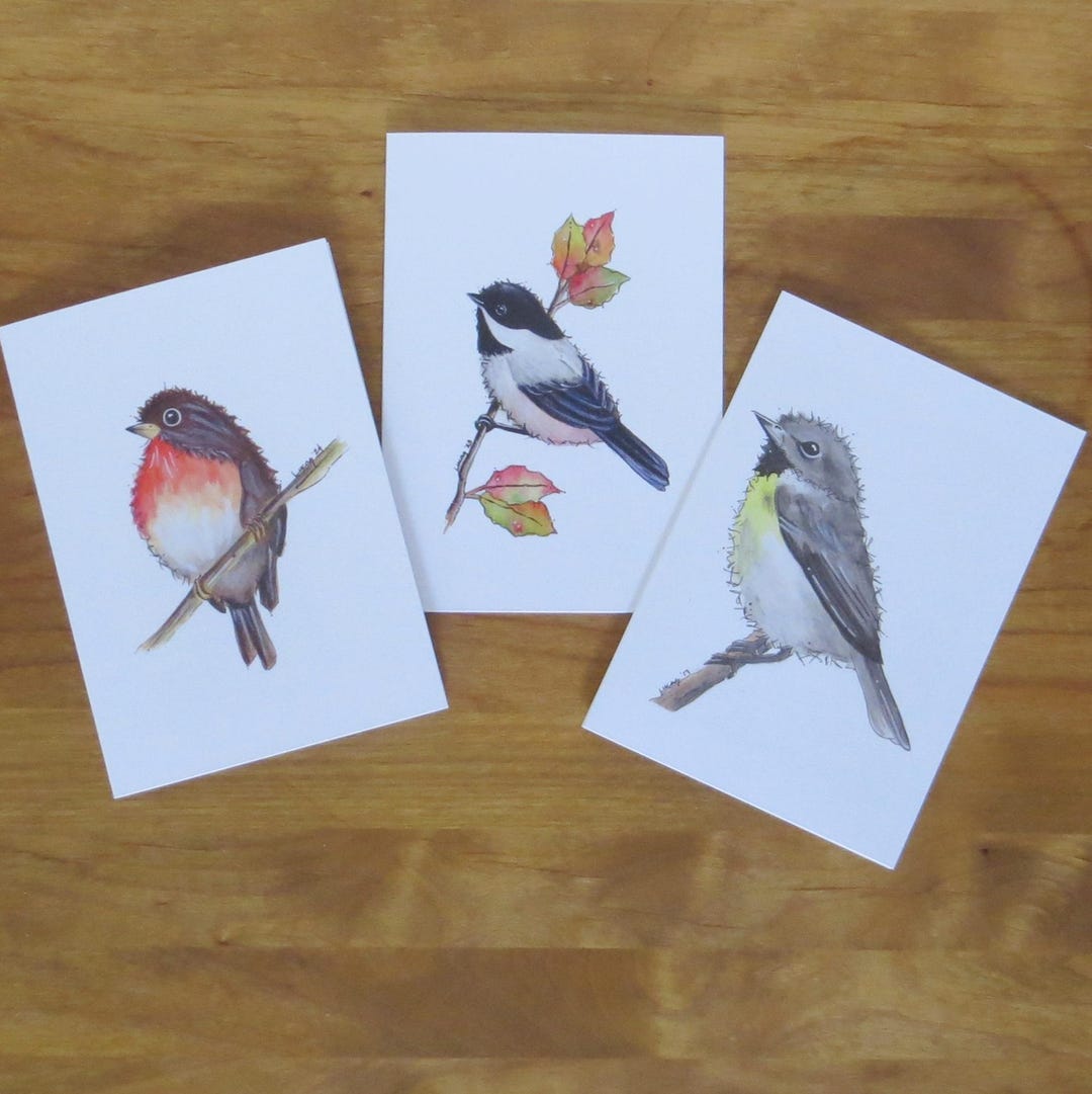Note Cards - Set of 3 - Whimsical Birds in Watercolor - Etsy