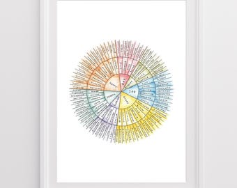 Hand drawn & coloured Feeling Wheel Illustration