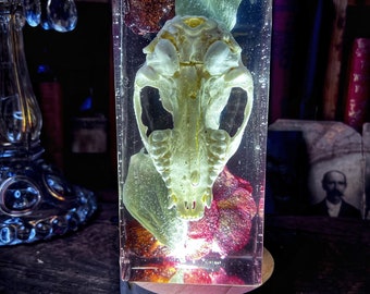 Lighted Bone Sculpture