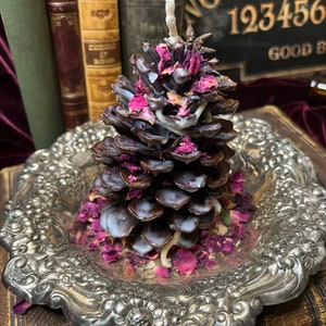 Wish-craft Pinecone Wishing Spell
