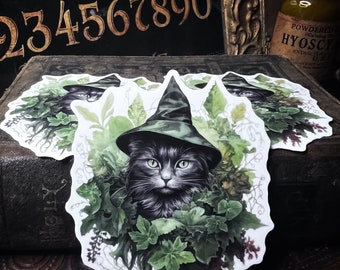Vinyl Cat Witch Decal Die Cut , Waterproof, 2.5”