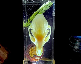 Sculpture du crâne et de la fleur de lotus