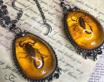 The “Kiss Me Deadly” genuine scorpion in resin necklace.