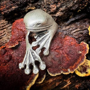 May include: A silver-toned ring shaped like a frog with its front legs extending downward. The frog's toes are accented with small, clear, round stones. The metal has a matte, textured finish, and the design features detailed facial features.