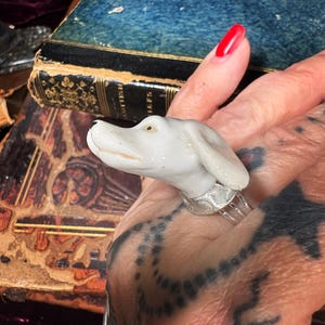 Peut inclure: Bague t&ecirc;te de chien en c&eacute;ramique blanche avec un anneau argent&eacute;. La t&ecirc;te de chien pr&eacute;sente des yeux d&eacute;taill&eacute;s et une bouche l&eacute;g&egrave;rement ouverte. La bague est pos&eacute;e sur un fond de livres anciens aux couvertures bleues et marron.