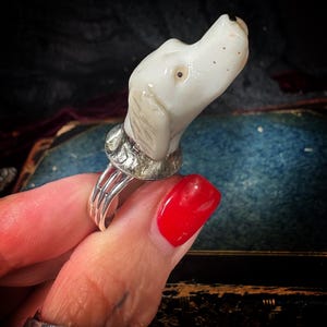 Peut inclure: Une bague originale repr&eacute;sentant une t&ecirc;te de chien blanche avec un collier et une bande argent&eacute;s. La t&ecirc;te du chien est orn&eacute;e de taches noires et d'un &oelig;il marron. La bague est tenue par une main avec du vernis &agrave; ongles rouge.