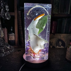 Lighted Bone Sculpture