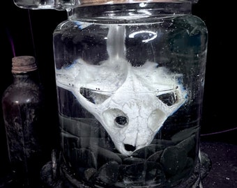 Cráneo inmortalizado