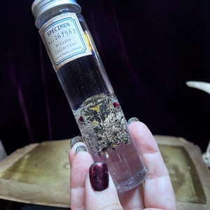 Klapperschlangenkopf Specimen mit roten Augen