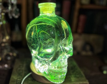 Snake Specimen in Crystal Skull Head Rare Bottle with lighted base.