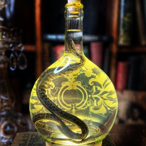 Lighted Snake Specimen in Vintage Etched Glass Vessel