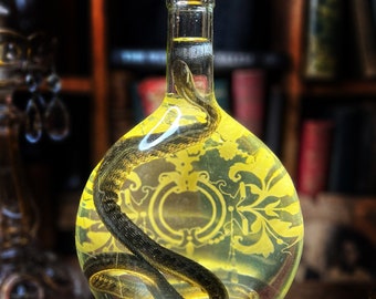 Lighted Snake Specimen in Vintage Etched Glass Vessel