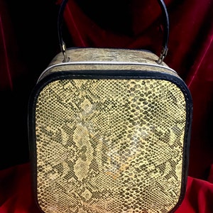 Vintage Snakeskin Print Luggage Case, Vintage Train Case, Snakeskin Bag, Vintage Snakeskin Handbag, Vintage Train Case, Leather Train Case